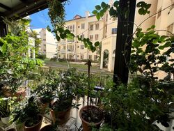 Villa Marina (D15), Condominium #521095421